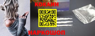 индика Гатчина