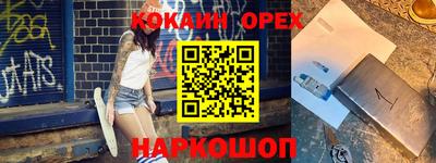индика Гатчина