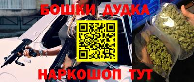 индика Гатчина