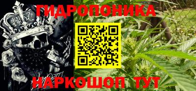 твердый Гай