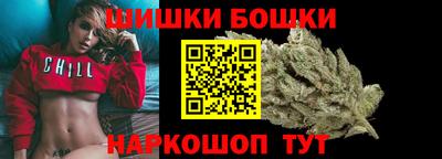 индика Гатчина