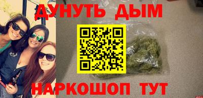 индика Гатчина