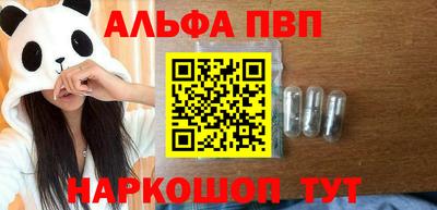 индика Гатчина