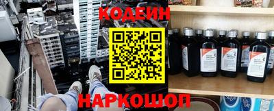 индика Гатчина