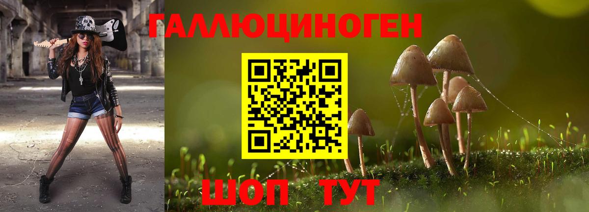 Гуково  Галлюциногенные грибы мухоморы  Вход с VPN  Псилоцибиновые грибы мухоморы 